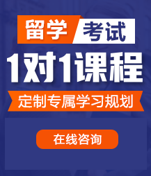 鸡巴视频免费看操逼留学考试一对一精品课